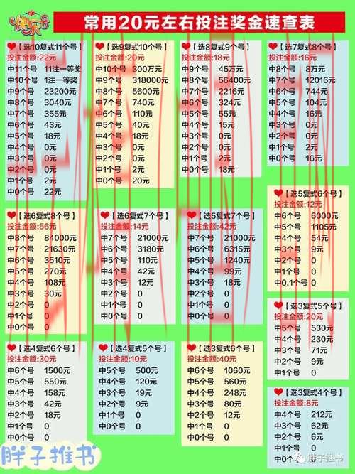 开云体育登录852 tw，各类体育项目投注规则详解